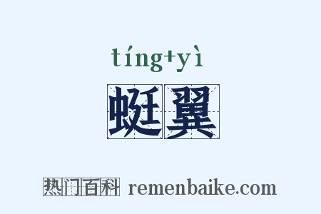 蜓翼是什么意思的图片